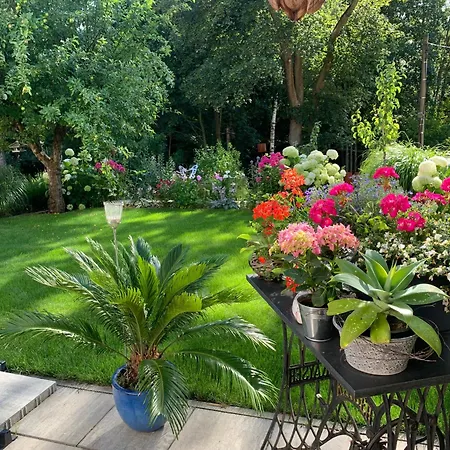 Romantik Idyll Am Tiefental